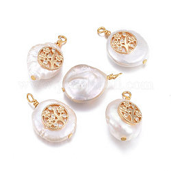 Pendentifs de perles d'eau douce de culture naturelle, avec accessoires zircon cubique micro pave en laiton, pépites, rond et plat avec un arbre, or, clair, 17~26x11~16x5~11mm, Trou: 1.6~2mm