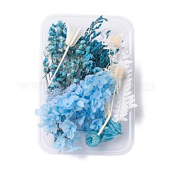 Сушеные цветы, аксессуары для изготовления мыла из свечей своими руками, с пластиковой прямоугольной коробкой, голубой, 2.4~14.5x1.7~13.1 см
