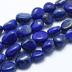 Filo di Perle lapis lazuli naturali , pietra burrattata, pepite, 6~12mm, Foro: 0.8 mm, circa 30~35pcs/filo, 15.7 pollice (40 cm)