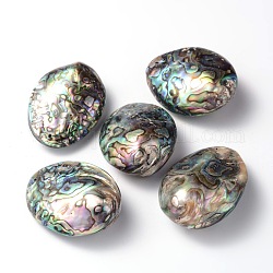 Perle ovali naturali di conchiglia di paua, 50~65x36~40x16.5~20mm, Foro: 1 mm