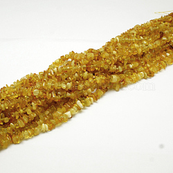 Ambre naturel perles puce brins, 4~6x4~6mm, Trou: 1mm, environ 15.5 pouce