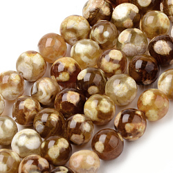 Naturelles feu crépitent agate perles brins, teints et chauffée, ronde, 6~6.5mm, Trou: 1mm, Environ 63 pcs/chapelet, 15.5 pouce