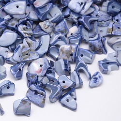Крашеные натуральные пресноводные ракушки, осколки оболочки, стальной синий, 9~12x6~15 мм, отверстие : 1 мм, Около 900 шт / 500 г
