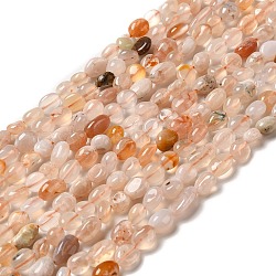 Chapelets de perles en agate naturelle de fleurs de cerisier, pépites, 7~14x4~8x4~7mm, Trou: 1mm, Environ 44~50 pcs/chapelet, 38.5~39.5 cm