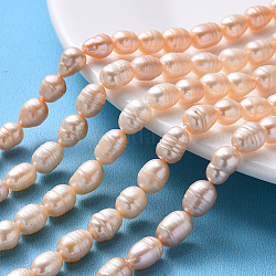Fili di perle di perle d'acqua dolce coltivate naturali, riso, peachpuff, 7~13x7~8mm, Foro: 0.8 mm, circa 32~40pcs/filo, 12.99 pollice