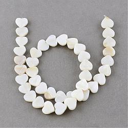 Chapelets de perles en coquillage naturel, cœur, blanc crème, 10x10~11x3mm, Trou: 0.8~0.9mm, Environ 40 pcs/chapelet, 14.1 pouce