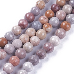 Fossiles naturelle perles de corail brins, teinte, ronde, 6mm, Trou: 1mm, Environ 65 pcs/chapelet, 13.5 pouces ~ 13.8 pouces (34.5~35 cm)