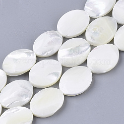 Fili di perle di conchiglia trochid naturale / trochus, ovale, bianco crema, 20x15x4.5~5.5mm, Foro: 1 mm, circa 20pcs/filo, 15.75 pollice