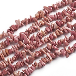 Natural Rhodonite Beads Strands, Chip, 1.5~4.5x6.5~11.5mm, Hole: 1mm, 33.39 inch(84.8 cm)
