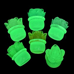 Luminous Resin Plant Decoden Cabochons, Glow in the Dark, Mixed Color, 25x22x21mm