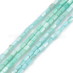 Brins de perles d'eau douce naturelles teints en coquille, colonne, turquoise pale, 4.8x3mm, Trou: 0.8mm, Environ 78 pcs/chapelet, 14.96'' (38 cm)