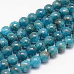 Hebras de perlas naturales de apatita, redondo, 6mm, agujero: 0.8~1 mm, aproximamente 66 pcs / cadena, 15.7 pulgada