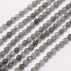 Sfaccettate rotonde fili di perline labradorite naturale, 4mm, Foro: 0.8 mm, circa 100pcs/filo, 15.5 pollice