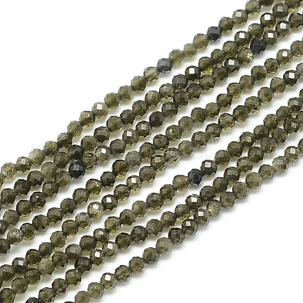 Natural Golden Sheen Obsidian Beads Strands G-S152-04-2mm-1