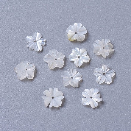 Perlas de concha de nácar de concha blanca natural BSHE-L043-17-1