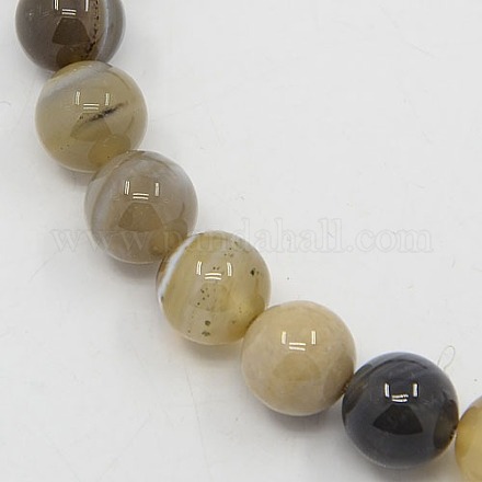 Natural Striped Agate/Banded Agate Beads Strands G-L013-10mm-02-1
