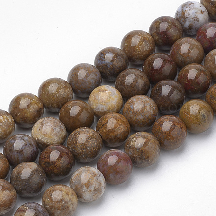 Natural Petrified Wood Beads Strands X-G-Q462-136-8mm-1