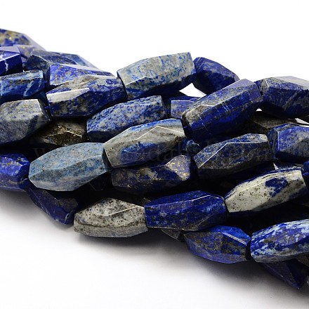 Natural Lapis Lazuli Barrel Bead Strands G-E251-20-1