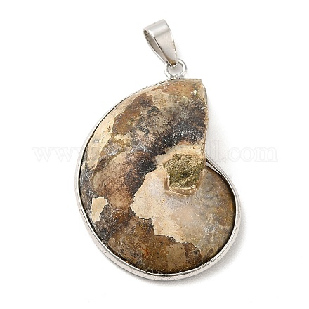 Snail Fossil Pendants G-D051-1-1