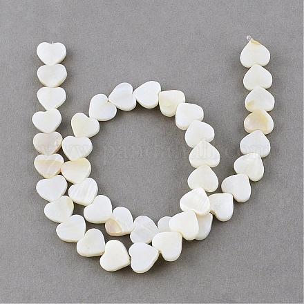 Chapelets de perles en coquillage naturel SSHEL-Q296-40-1