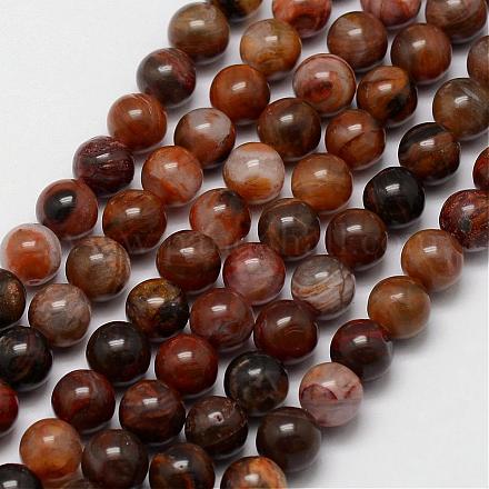 Chapelets de perles en bois pétrifié naturel G-P181-06-6mm-1