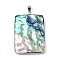 Abalone Shell/Paua Shell Pendants, with Brass Open Back Settings, Rectangle, Platinum, 45.5x31.5x4.5mm, Hole: 4x5.5mm