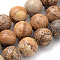 Natural Picture Jasper Beads Strands, Round, 10mm, Hole: 1mm, about 40pcs/strand, 15.7 inch