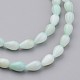 Chapelets de perles en coquillage naturel X-BSHE-P013-05-3