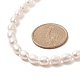 Natural Pearl Beaded Necklace with 304 Stainless Steel Clasp for Women NJEW-JN04143-5