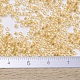 Perline miyuki delica piccole SEED-JP0008-DBS0100-4