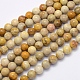 Natural Fossil Coral Beads Strands X-G-G697-F01-4mm-1