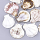 Perles de coquille Saint-Jacques naturelles SSHEL-S258-52-1