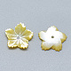 Perles de coquillage jaune SSHEL-S260-064-2