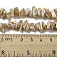 Brins de perles de coquillages naturels de troca SSHEL-H072-09-4