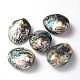 Perle ovali naturali di conchiglia di paua SSHEL-F0008-01-1