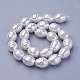 Shell Pearl Beads Strands BSHE-P030-03D-1