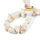 Chapelets de perles de coquille de trochid / trochus coquille X-SHEL-S258-080-A01-4