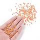 8/0 Glass Seed Beads SEED-XCP0001-10-4