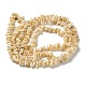 Brins de perles de coquillages naturels de troca SHEL-K006-38-2