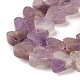 Natural Amethyst Beads Strands G-M403-A13-3