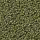 Perles rocailles miyuki rondes SEED-X0056-RR2033-3