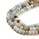 Brins de perles d'amazonite de fleurs naturelles G-F759-02-4