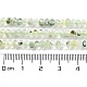 Natural Prehnite Beads Strands G-J400-C05-02-5