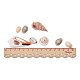 CHGCRAFT about 200pcs Mixed Ocean Sea Shells Natural Seashells Spiral Shell Beads for Fish Tank BSHE-PH0001-11-4