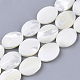 Fili di perle di conchiglia trochid naturale / trochus SHEL-T013-006A-02-1