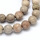 Natural Fossil Coral Round Bead Strands G-O094-08-20mm-2
