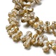 Eau douce naturelle de coquillage perles brins SHEL-C005-03-3