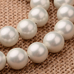 Polished Round Grade A Shell Pearl Bead Strands, Beige, 8mm, Hole: 1mm, about 49pcs/strand, 16 inch