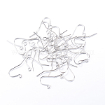 Iron Earring Hooks, Ear Wire, with Horizontal Loop, Nickel Free, Platinum, 19x16mm, Hole: 2mm, 22 Gauge, Pin: 0.6mm