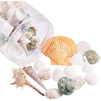 OLYCRAFT 100pcs Seashells Resin Fillers 7-Style 3-Colors Ocean